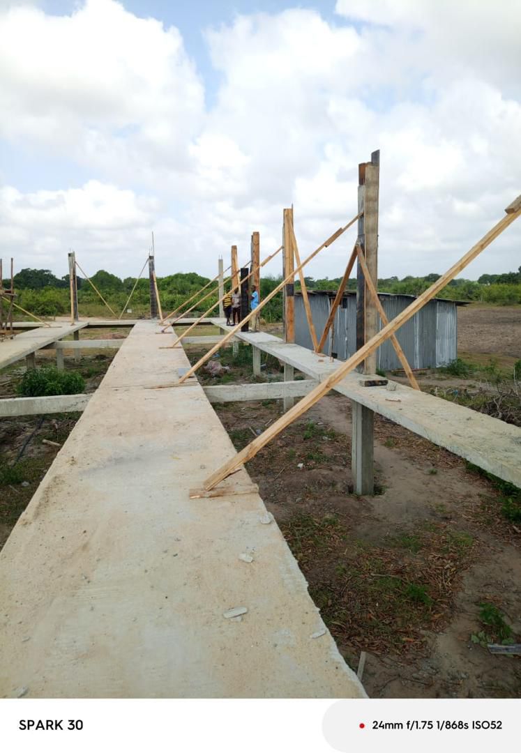 Modern Chicken Housing Project